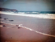 Waves