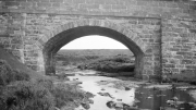 Old_01_0019