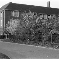 Blossom at camp