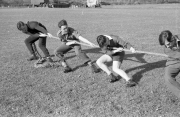 Tug of War, 1 Platoon