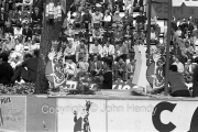 Crowd