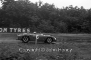 Sportscars - #6 Ferrari 246 Dino (Mike Parkes)