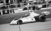 F1 - #8 Brabham-Cosworth BT44B (Carlos Pace)