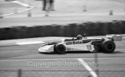 F1 - #19 Surtees-Cosworth (Vittorio Brambilla)