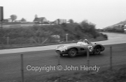 #96 Aston Martin DBR1/300 (McLaren / Maggs)