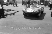 Sports cars - #23 D-Type Jaguar, Michael Salmon