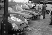 Sportscars - Equipe Endeavour - Ferrari GTO #31 and Jaguars in the paddock