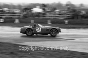 GT - #39 AC Cobra (J.Sears)