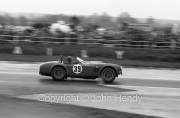 GT - #39 AC Cobra (J.Sears)