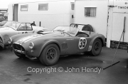 GT - #39 AC Cobra (J.Sears)