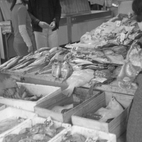 Fish stall