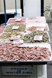 Shellfish