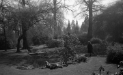 Delapre gardens