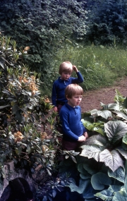 David and Simon