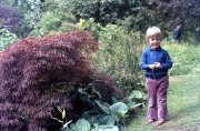 Simon and Acer Palmatum Atropurpurem Dissectum