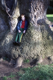 Simon in the Delapre tree