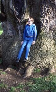 David in the Delapre tree