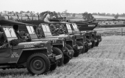 US Army Jeeps at Tractor Rally