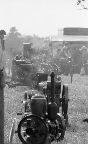 Steam engines at Tractor Rally