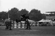 Show jumping