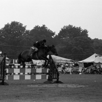 Show jumping