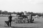Show jumping