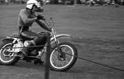 Borough Show