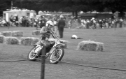 Borough Show