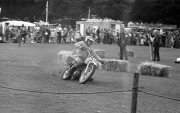 Borough Show