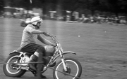 Borough Show