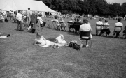 Borough Show