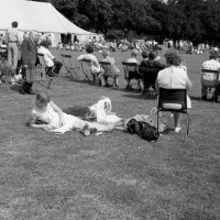 Borough Show