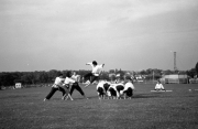 Borough Show