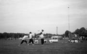 Borough Show