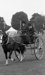 Borough Show