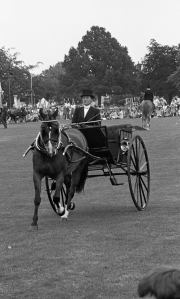 Borough Show