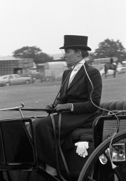Borough Show