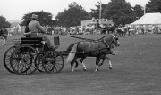 Borough Show