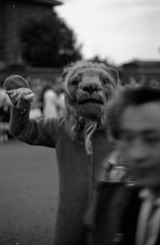 Carnival