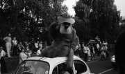 Northampton Carnival