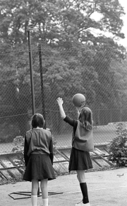 Netball