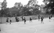 Netball