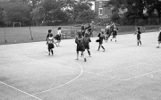 Netball