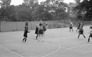 Netball