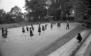 Netball