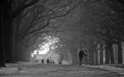 Abington Park