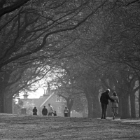 Abington Park