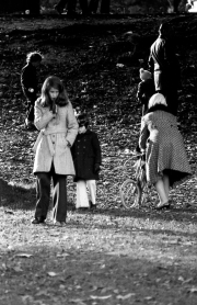 By the playground