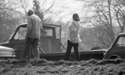 Walk in the park