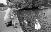 Greta and Simon feeding the ducks (and swans)